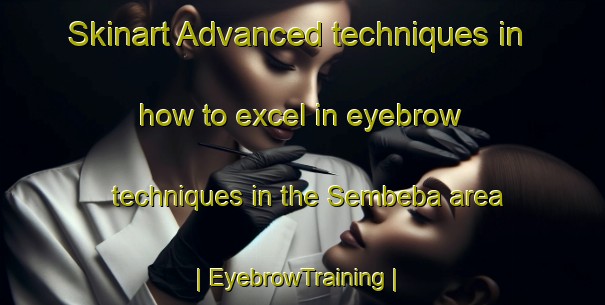 Skinart Advanced techniques in how to excel in eyebrow techniques in the Sembeba area | EyebrowTraining | EyebrowClasses | SkinartTraining-the Democratic Republic of the Congo